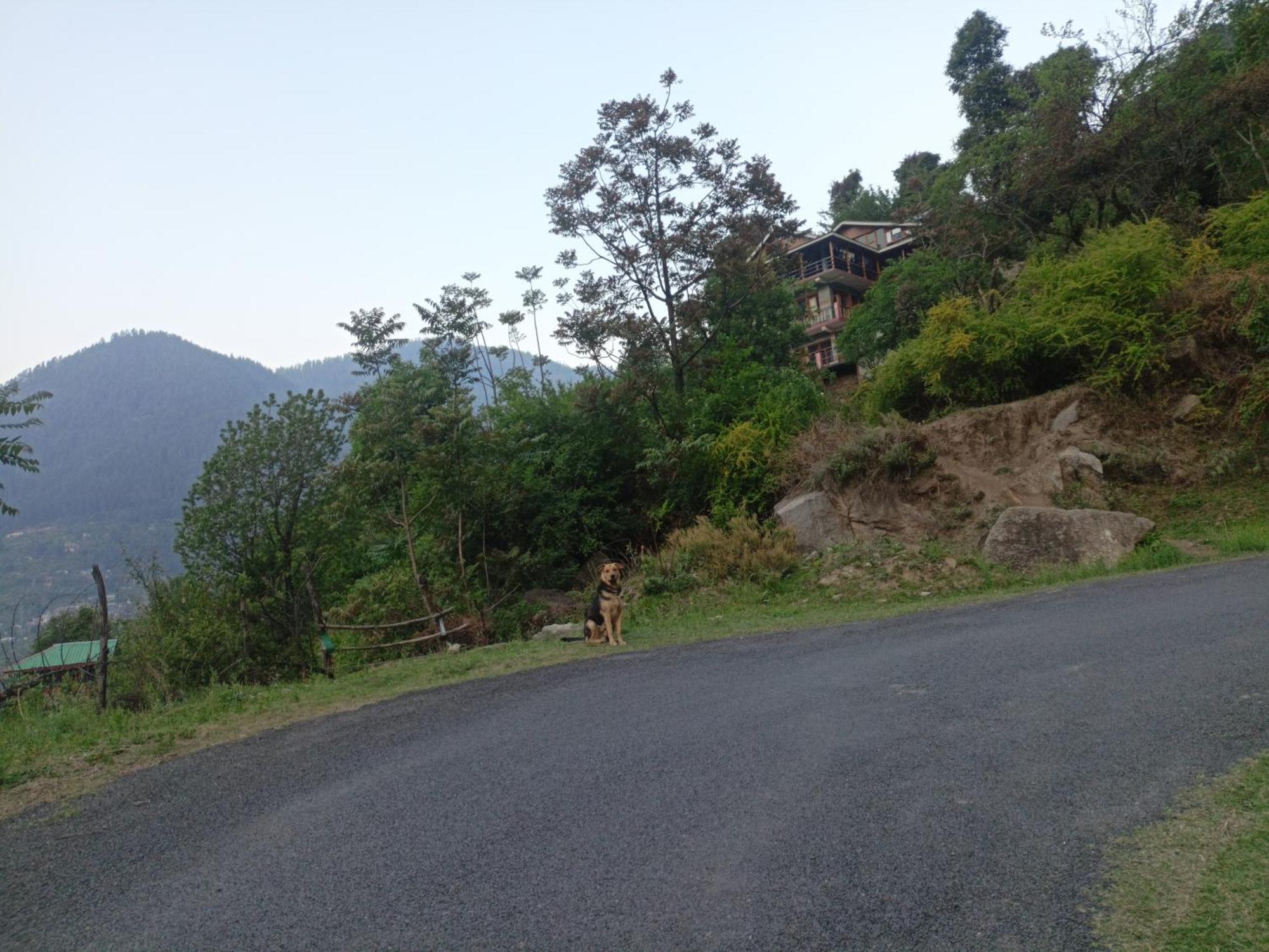 Tirthan Hilltop Home Stay Banjār Buitenkant foto