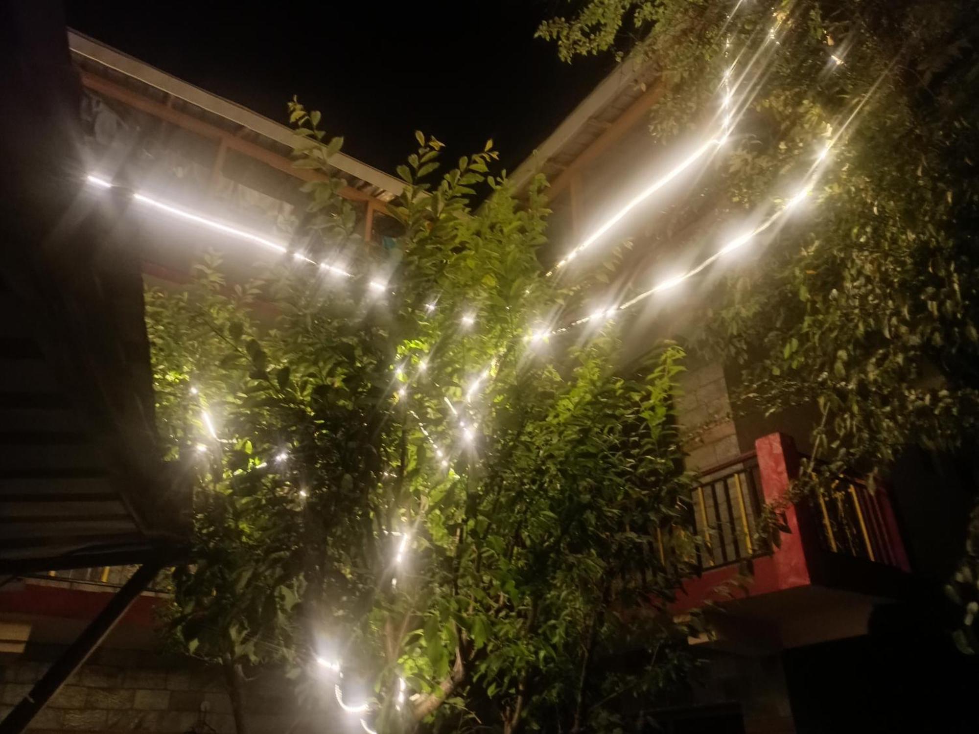 Tirthan Hilltop Home Stay Banjār Buitenkant foto