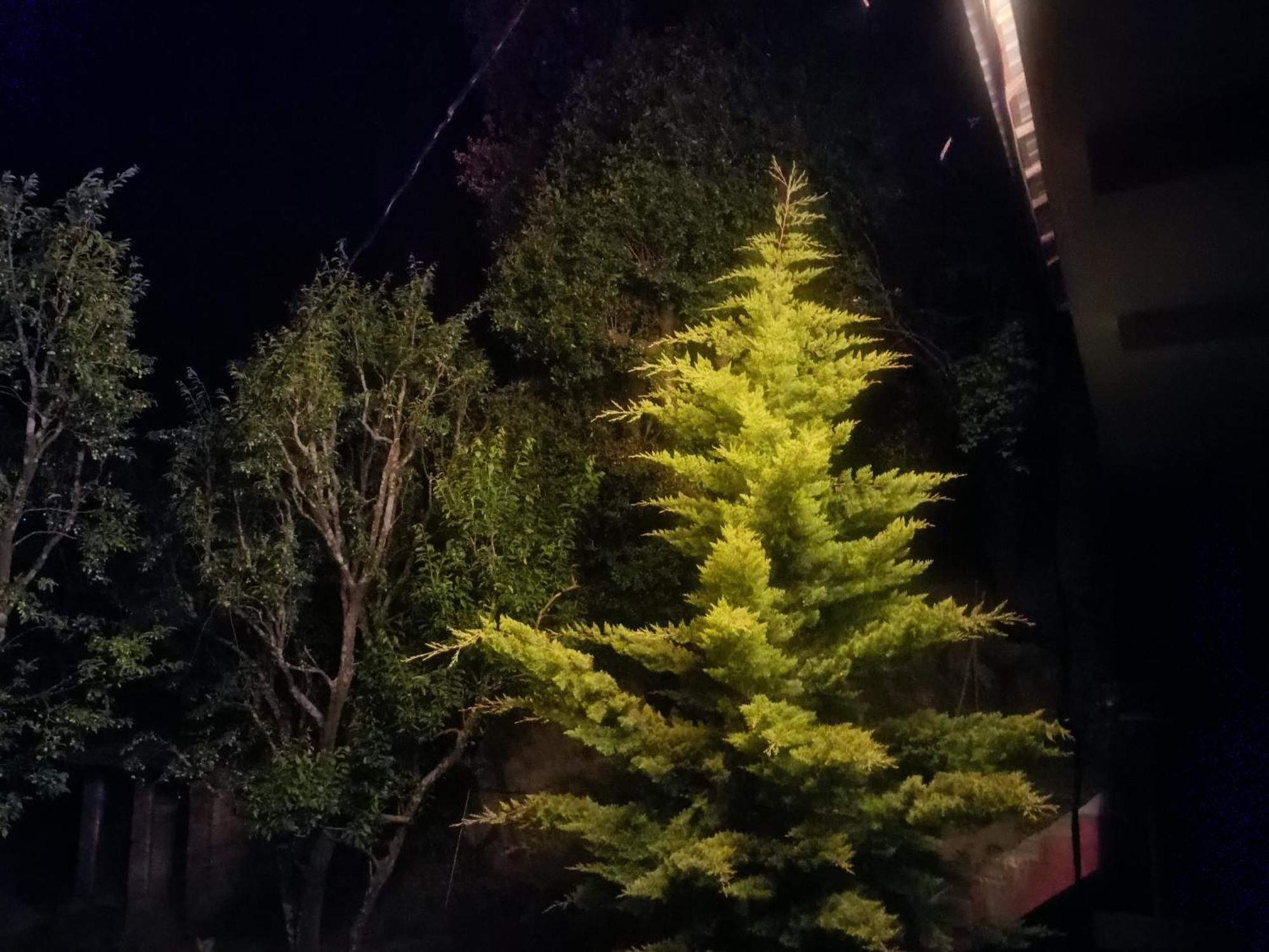 Tirthan Hilltop Home Stay Banjār Buitenkant foto